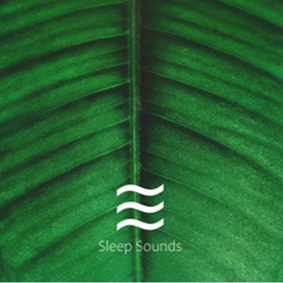 睡觉的声音资料,睡觉的声音最新歌曲,睡觉的声音MV视频,睡觉的声音音乐专辑,睡觉的声音好听的歌