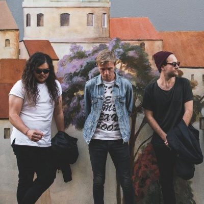 The Young Wild