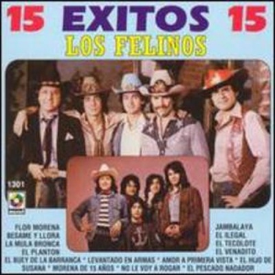LOS FELINOS