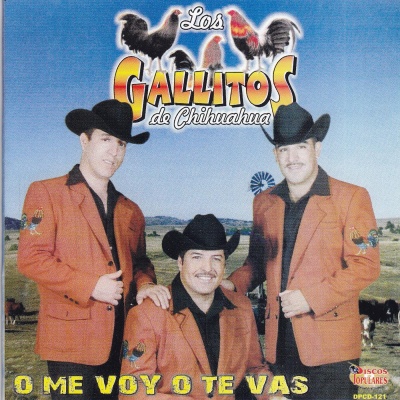 Los Gallitos de Chihuahua资料,Los Gallitos de Chihuahua最新歌曲,Los Gallitos de ChihuahuaMV视频,Los Gallitos de Chihuahua音乐专辑,Los Gallitos de Chihuahua好听的歌