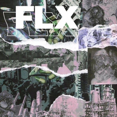 FLX资料,FLX最新歌曲,FLXMV视频,FLX音乐专辑,FLX好听的歌