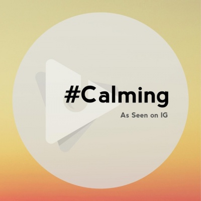 #Calming资料,#Calming最新歌曲,#CalmingMV视频,#Calming音乐专辑,#Calming好听的歌