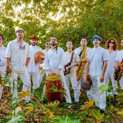 Jungle Fire资料,Jungle Fire最新歌曲,Jungle FireMV视频,Jungle Fire音乐专辑,Jungle Fire好听的歌