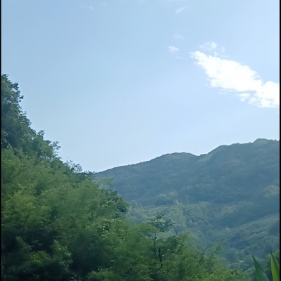 玉梅子资料,玉梅子最新歌曲,玉梅子MV视频,玉梅子音乐专辑,玉梅子好听的歌