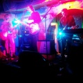 Dead Rabbits资料,Dead Rabbits最新歌曲,Dead RabbitsMV视频,Dead Rabbits音乐专辑,Dead Rabbits好听的歌
