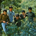 Teddy Robin & The Playboys资料,Teddy Robin & The Playboys最新歌曲,Teddy Robin & The PlayboysMV视频,Teddy Robin & The Playboys音乐专辑,Teddy Robin & The Playboys好听的歌
