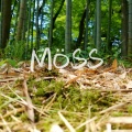 MöSS（阿脏）、逆时针向