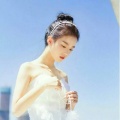 叶、易晨、刘禅小霸王nvn、轩辕凌天、河、云胡、一只浅城、江陵、浮屠Tu、豆花花儿丶 - 见闻山海 (盗墓笔记)