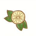 小柠檬籽籽