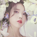 你的Pink、梦动力