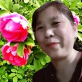 尹金凤资料,尹金凤最新歌曲,尹金凤MV视频,尹金凤音乐专辑,尹金凤好听的歌
