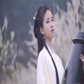 王元圆、班其红 - 知心爱人古筝版