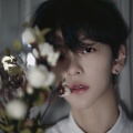 杨阳资料,杨阳最新歌曲,杨阳MV视频,杨阳音乐专辑,杨阳好听的歌