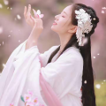 点羽恋 - 苏公堤