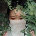 合欢 - 太阳