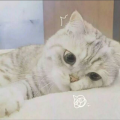 秋千千