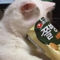 南