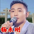 凤凰小子
