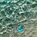 Destin