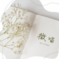 小哲gt(微唱)