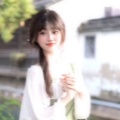 凡燕 - 枯叶蝶