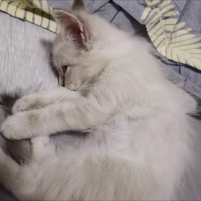 李奕乐