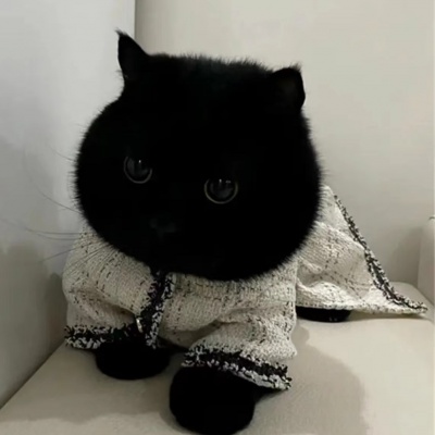 Mango.C