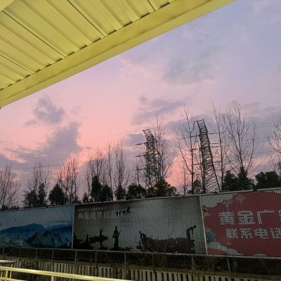 肖张